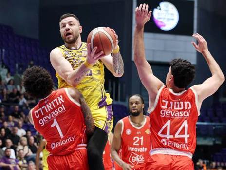 (צילום: אלן שיבר)