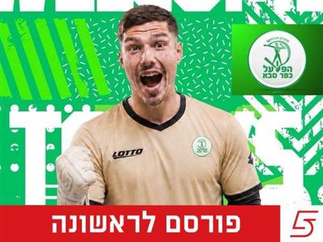 (ברני ארדוב)