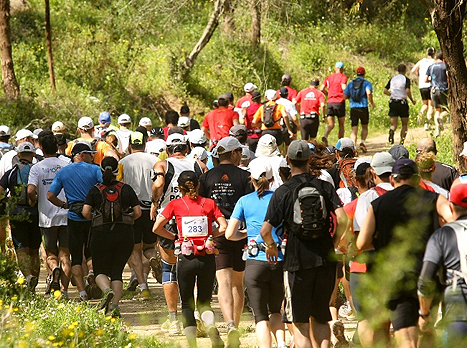 מירושלים ועד תל אביב (צילום: shvoong)