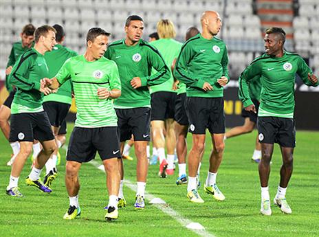 תחזור לתמונת הבית? (צילום: האתר הרשמי, מכבי חיפה)