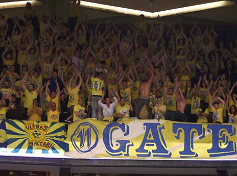 הצהובים לא הלכו רק לכדורגל (אלן שיבר)