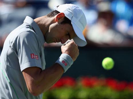 פדרר מסוגל עליו? דיוקוביץ'