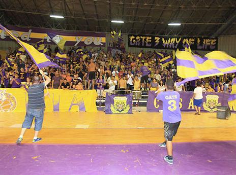 האוהדים בטוח יהיו בשיאם (אלן שיבר)