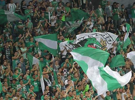 לא יגיעו לאשדוד? אוהדי חיפה זועמים (יוסי שקל)