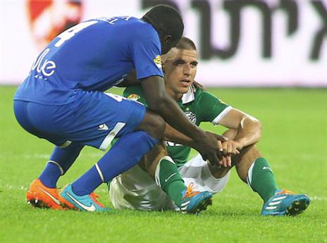 ורד. שלושה שערים כמחליף (אלן שיבר)