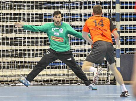 מאירוביץ' בפעולה (דוד פליגל, איגוד הכדוריד)