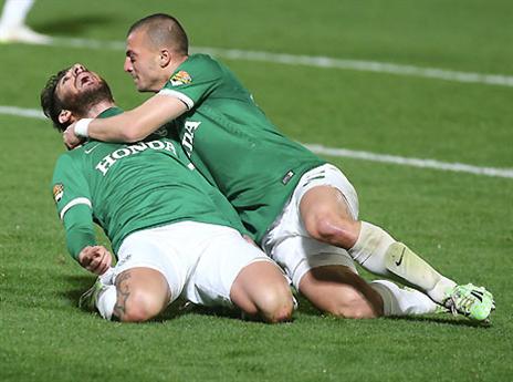 יכולים כבר להסתכל למעלה? (צילום: אלן שיבר)