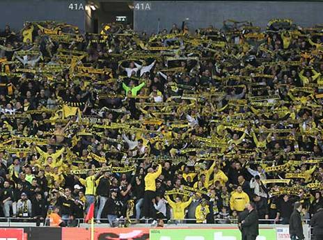 אוהדי בית"ר מתכננים מפגן תמיכה בטביב (יוסי שקל)