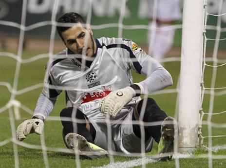 ניצן. הסאגה רק מתחילה (דני מרון)