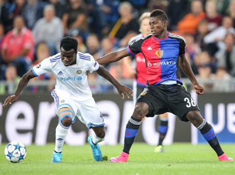 סוס עבודה (getty)