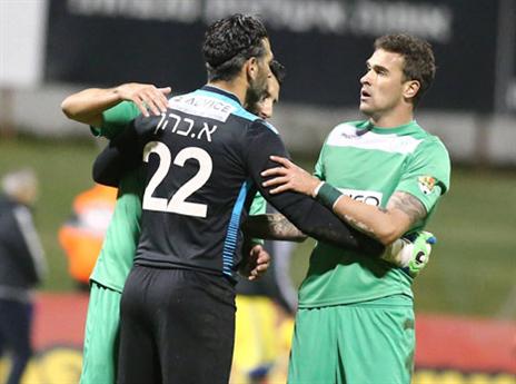 חגיגה בשרון (אלן שיבר)