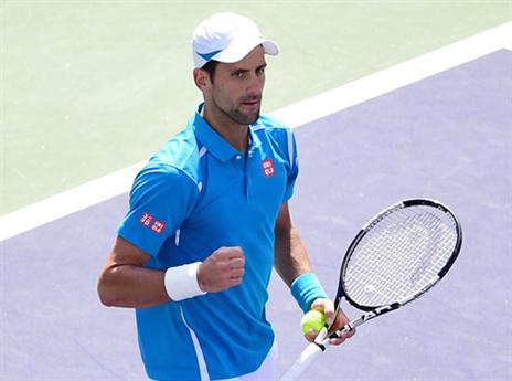 ג'וקוביץ'. אוסף תארים כמו בולים (getty)