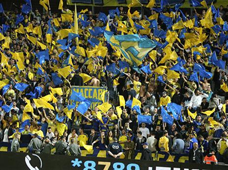 הקהל הצהוב שהגיע לבלומפילד (אלן שיבר)