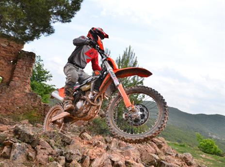 השנה כל האופנועים חדשים לחלוטין  (צילום: יצרן)