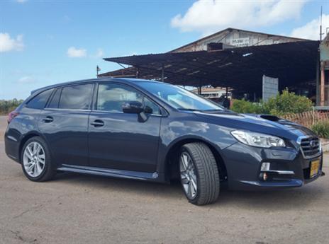 העדר ינטוש את הקרוסאובר? (צילום: כפיר כשריאן)