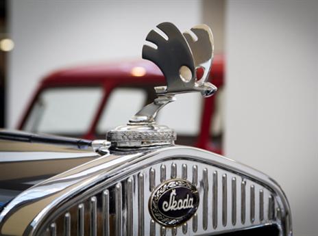 מתנוסס בגאון (צילום: ליאור ברוך)