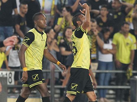 טירוף צהוב שחור (דני מרון)