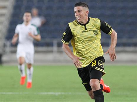 מגיע לו הקרדיט, ורד