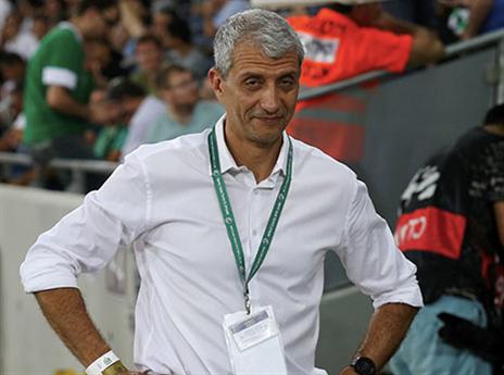 הכניס דם חדש. המנכ"ל אסף בן דב (צילום: אלן שיבר)