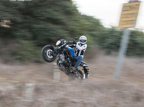 (צילום: בני דויטש)