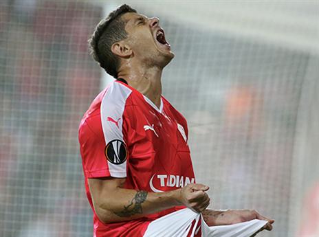 מליקסון. יעבור ניתוח לא פשוט (צילום: אלן שיבר)