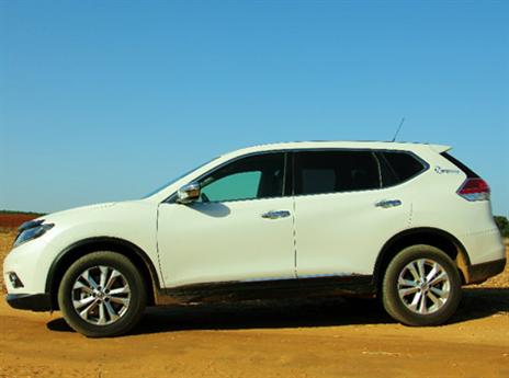 (צילום: אופיר דואק)