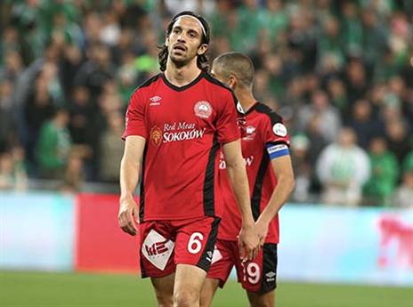 תקפו, אבל לא מצאו פתרונות (אלן שיבר)