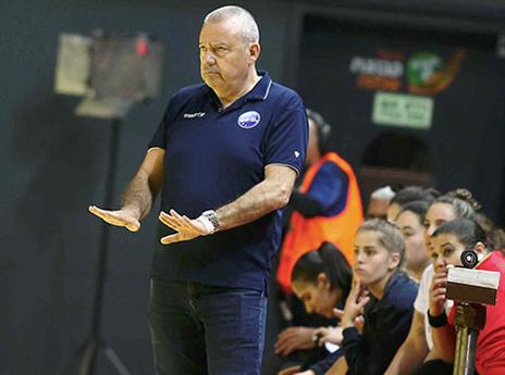 תואר נוסף לשלמה הופמן (אלן שיבר)