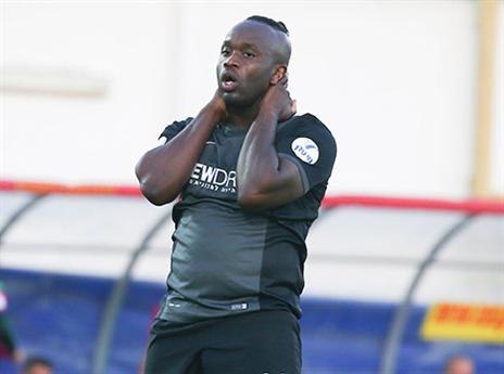 זה מה שנשאר מהקרירה המפוארת. תמוז (אלן שיבר)