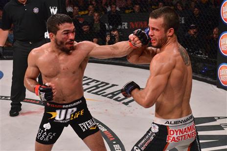 פיטבול. קרב על התואר (יח"צ)