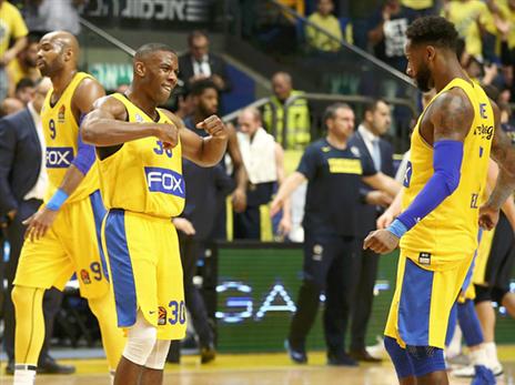 ההיכל ייצבע בצהוב (אלן שיבר)