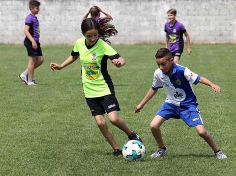 (צילום: אביב הברון)