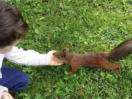 חוויות מפארק ילגין