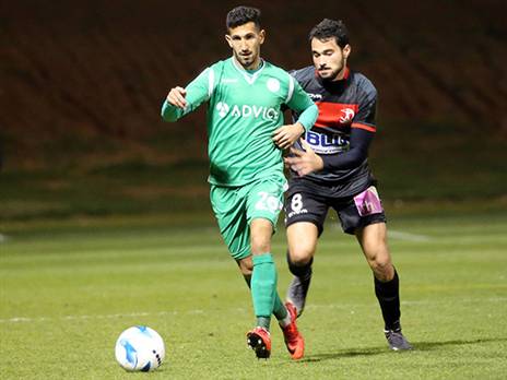 (אודי ציטיאט)