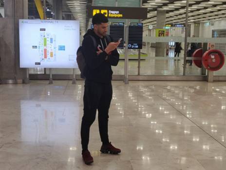 פלדין מתעדכן