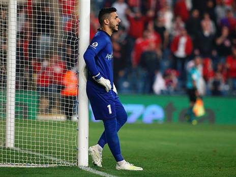 ניצן. ישאר בין הקורות? (אלן שיבר)