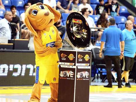 הצלחת תוענק בסדרות או בפיינל פור? (אלן שיבר)