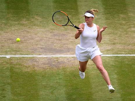 רוצה תואר ווימבלדון ראשון, האלפ (getty)