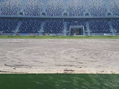 (צילום: שירי אלג'ם)