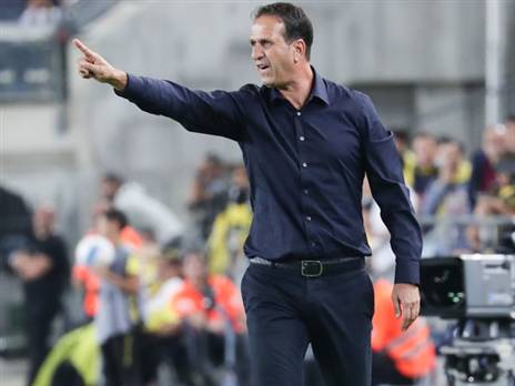 לוי. מעמדו יציב לפי חוגג (דני מרון)