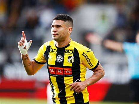 מגיע מהאקן השבדית