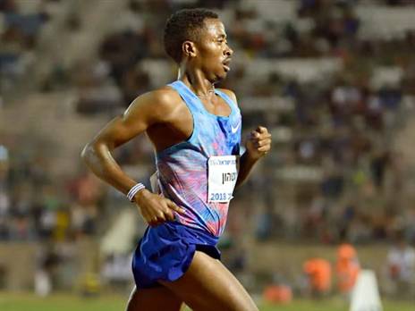 טדסה גטהון. תוצאה נהדרת (טיבור יגר)