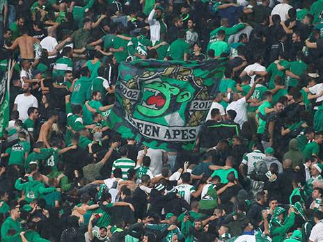 "האוהדים שלנו מלאי תשוקה" (אלן שיבר)