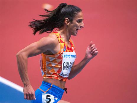 הסתבכה. גאפור (getty)