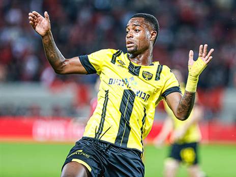 לבדו, עלול שלא להספיק. פלומיין (צילום: ניר קידר)