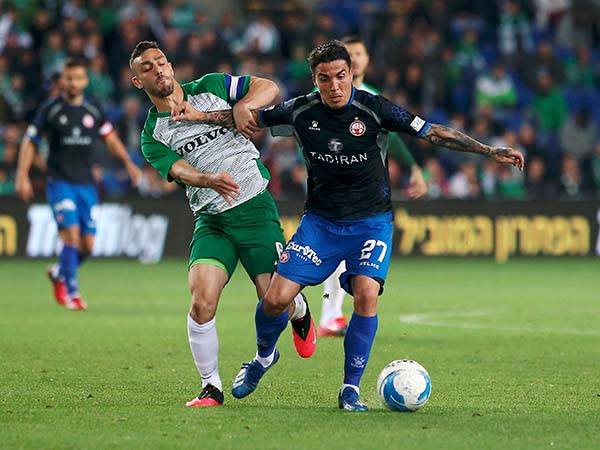 (מאור אלקסלסי)