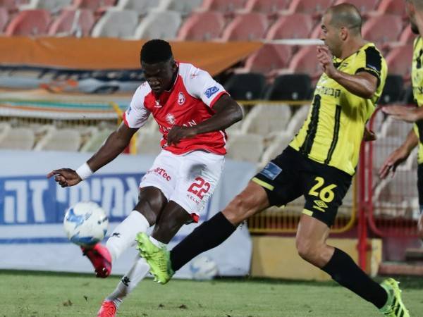 השיגו מחיר טוב. אקולטסה (דני מרון)