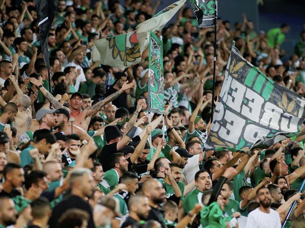 אוהדי חיפה. באו לעבוד (אלן שיבר)