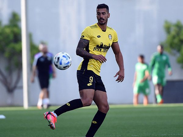 (ברני ארדוב)