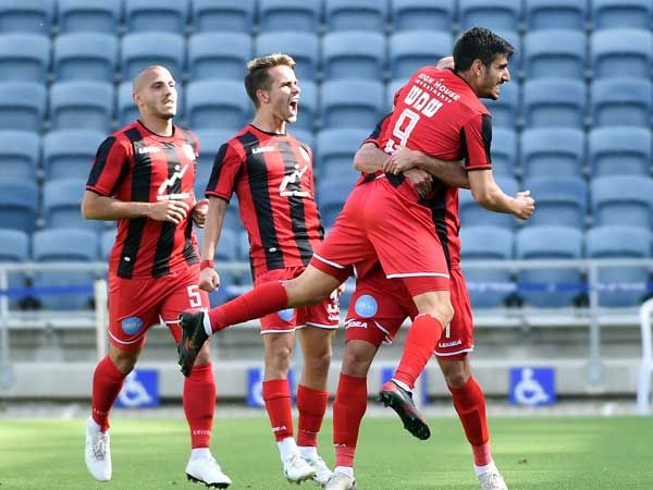 אחרי חגיגות העלייה, היא שוב כאן (צילום: ברני ארדוב)